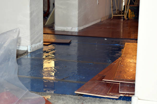 Professional Basement Flood Cleanup technician working in Southport, ME